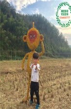 芜湖稻草雕塑工艺品安装流程